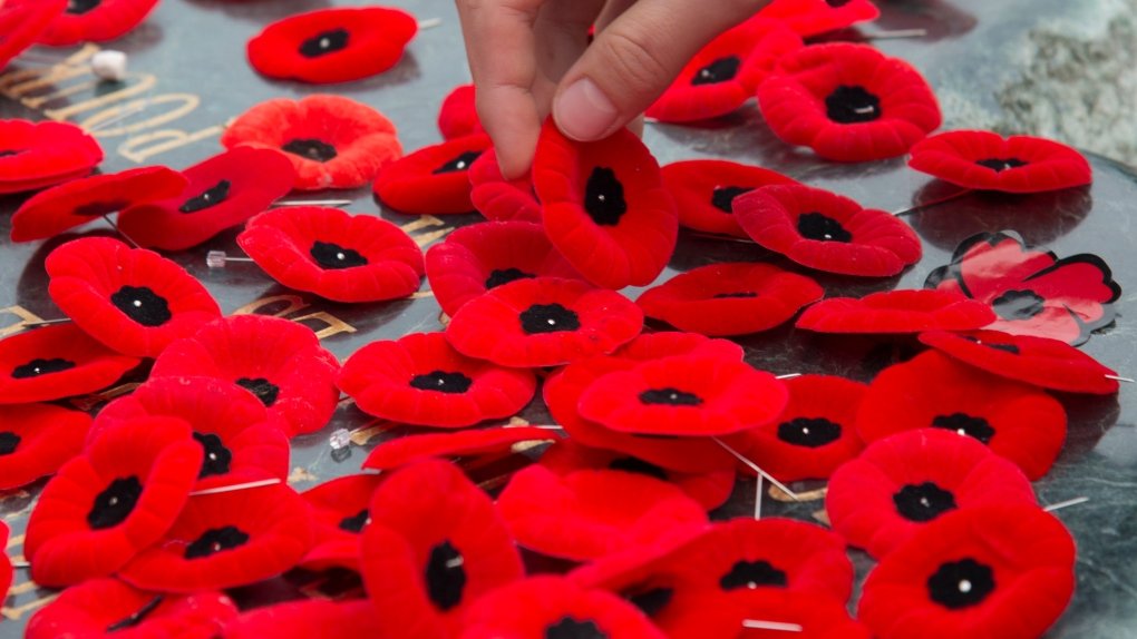 poppy is laid over the surface