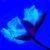 Profile picture of Fehmi